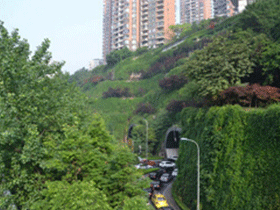 南京首次对立体绿化的项目进行扶持